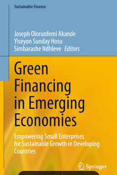 Green small businesses could have a big impact in South Africa: study breaks down what's standing in their way